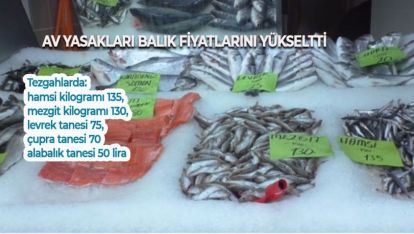 AV YASAKLARI BALIK FİYATLARINI YÜKSELTTİ