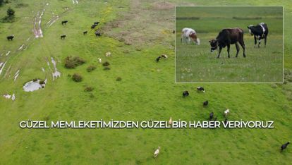 GÜZEL MEMLEKETİMİZDEN GÜZEL BİR HABER VERİYORUZ