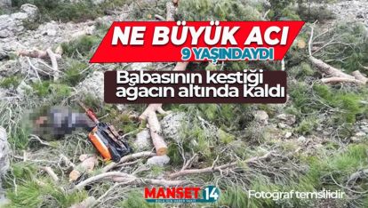 BABASININ KESTİĞİ AĞACIN ALTINDA KALAN ÇOCUK KURTARILAMADI