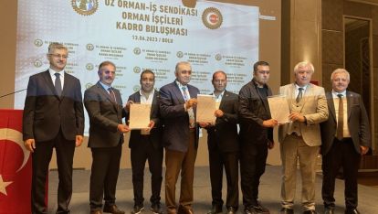 BOLU VE DÜZCE'DE 486 ORMAN İŞÇİSİ KADROYA GEÇTİ