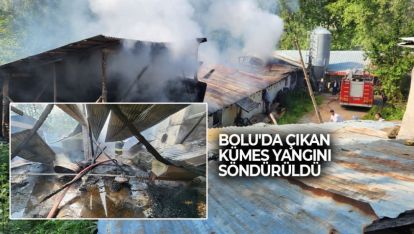 BOLU'DA ÇIKAN KÜMES YANGINI SÖNDÜRÜLDÜ