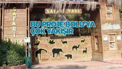 BOLU'DA 230 HEKTARLIK ALANA SAFARİ PARK KURULACAK