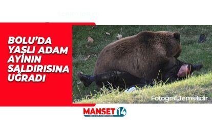 BOLU'DA AYI SALDIRISINA UĞRAYAN YAŞLI ADAM HASTANEYE KALDIRILDI