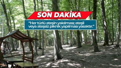 BOLU'DA BELİRLENEN YERLER DIŞINDA ORMANA GİRMEK YASAKLANDI