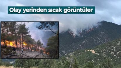 BOLU'DA ÇIKAN YANGINA HAVADAN VE KARADAN MÜDAHALE EDİLİYOR