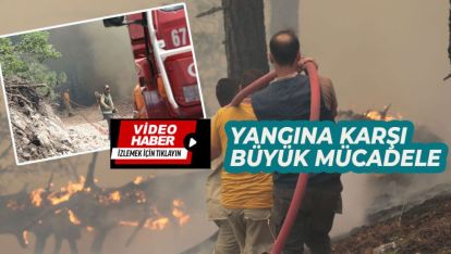 GÖYNÜK'TE CAYIR CAYIR YANIYORUZ, HERKES SEFERBER