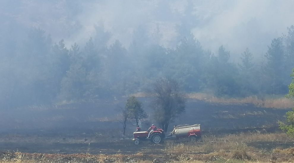 BOLU'DA ÇIKAN ORMAN YANGINI KONTROL ALTINA ALINDI