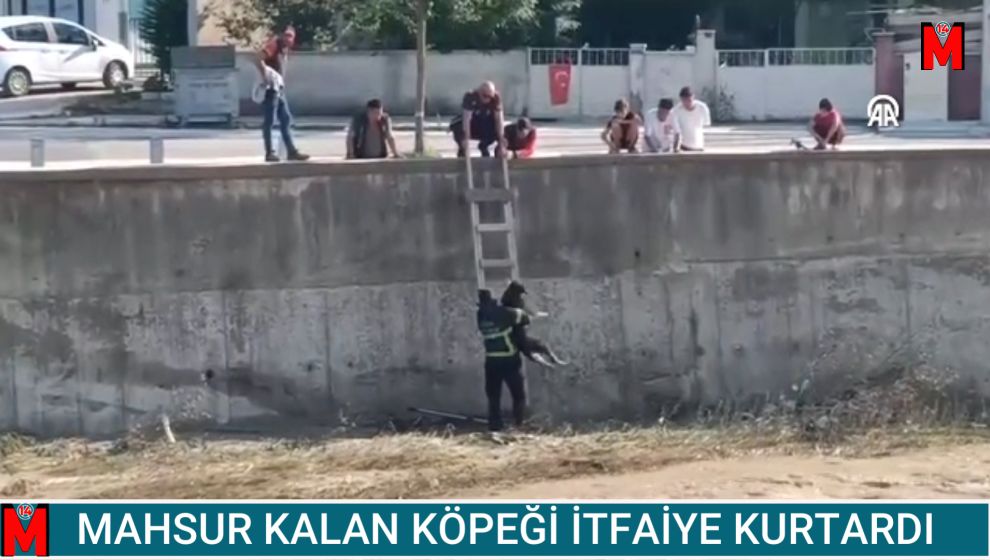 DERE YATAĞINDA MAHSUR KALAN KÖPEĞİ İTFAİYE KURTARDI