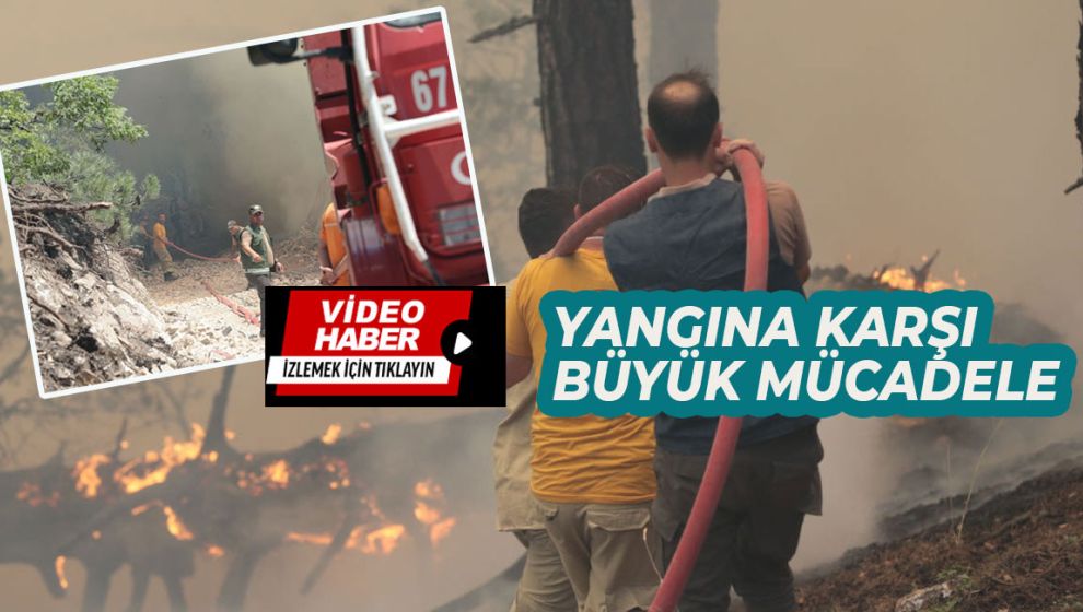 GÖYNÜK'TE CAYIR CAYIR YANIYORUZ, HERKES SEFERBER