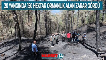 BOLU'DA BU YIL ÇIKAN 20 ORMAN YANGININDA 150 HEKTARLIK ALAN ZARAR GÖRDÜ