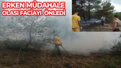 BOLU'DA YILDIRIMIN İSABET ETMESİ SONCU ORMAN YANGINI ÇIKTI