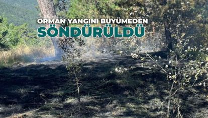 BOLU'DA ZAMANINDA MÜDAHALE FELAKETİ ÖNLEDİ