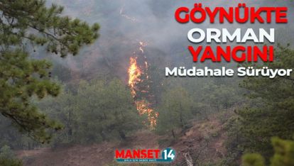 BOLU'NUN GÖYNÜK İLÇESİNDE ÇIKAN ORMAN YANGININA MÜDAHALE EDİLİYOR