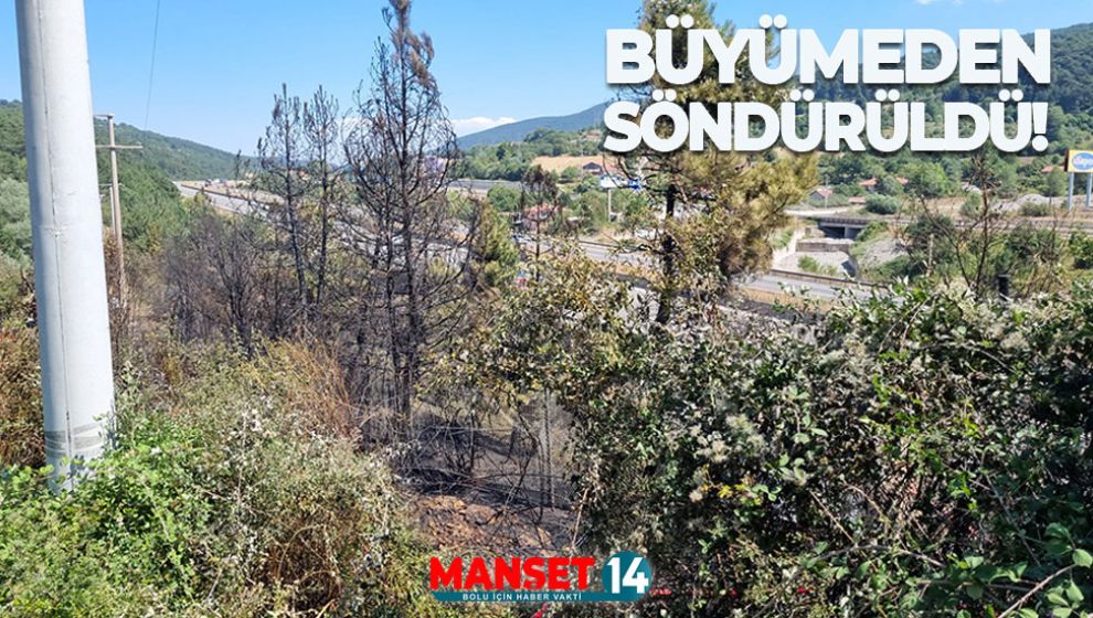 BOLU'DA ÇIKAN ORMAN YANGINI BÜYÜMEDEN SÖNDÜRÜLDÜ