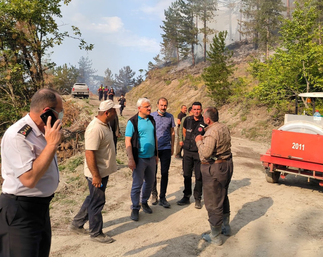 MUDURNU'DA ÇIKAN ORMAN YANGINIDA KONTROL ALTINA ALINDI