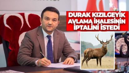 "KIZIL GEYİKLERİN AVLANMASI YASAKLANMALI, BOZKURTLAR DOĞAL YİYECEK BULMALI"