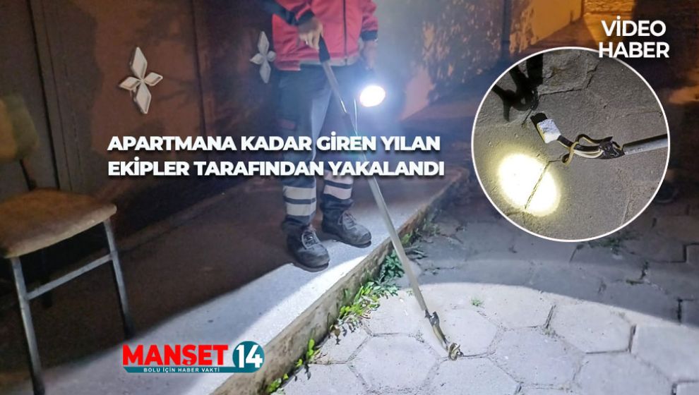 APARTMANA KADAR GİREN YILAN EKİPLER TARAFINDAN YAKALANDI