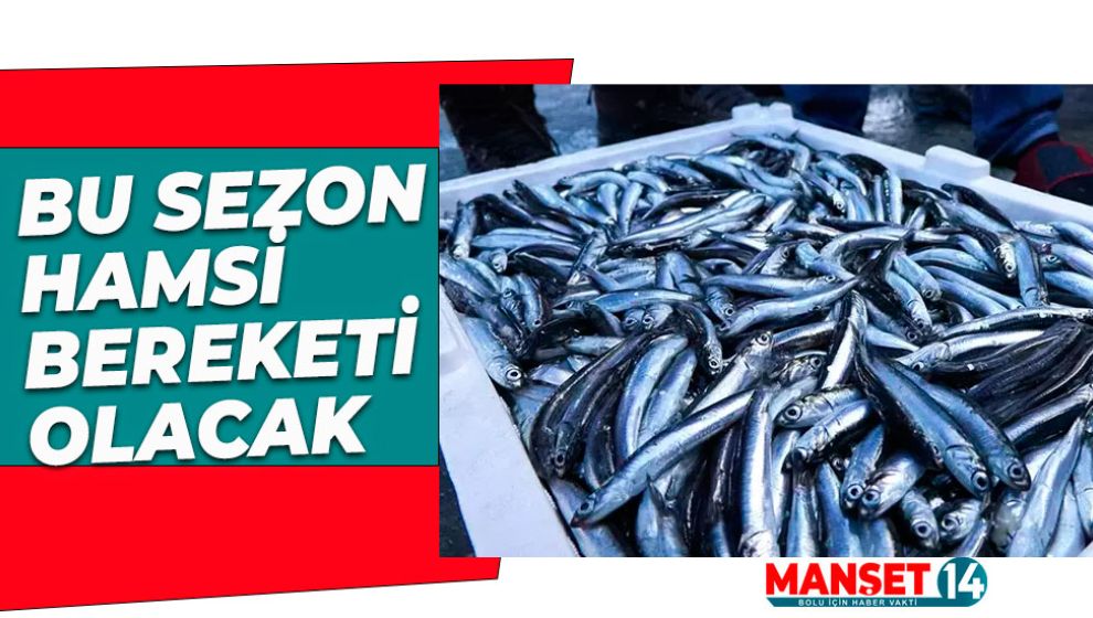 HAMSİ 120 LİRADAN 80 TL'YE KADAR DÜŞTÜ