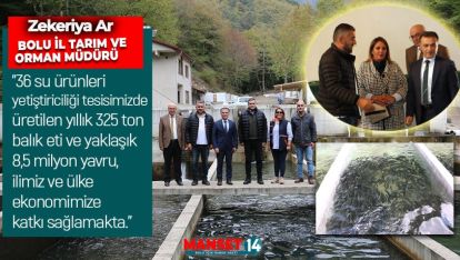 BOLU'DAKİ TESİSLERDE YILDA 8,5 MİLYON BALIK YAVRUSU ÜRETİLİYOR