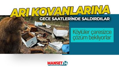 KÖYE KADAR İNEN AYILAR 55 ARI KOVANINI TELEF ETTİ