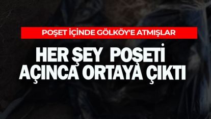 POŞET İÇİNDE GÖLKÖY'E ATMIŞLAR. VATANDAŞLAR BULDU