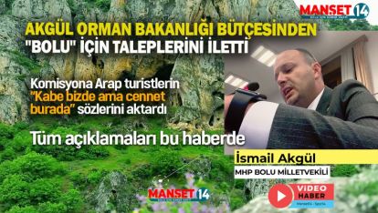 AKGÜL ORMAN BAKANLIĞI BÜTÇESİNDEN "BOLU" İÇİN TALEPLERİNİ İLETTİ