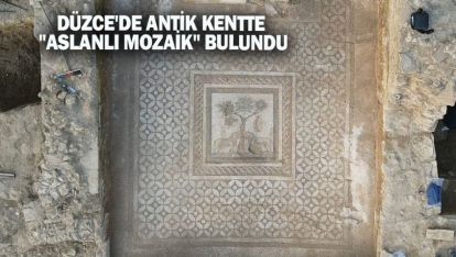 DÜZCE'DE ANTİK KENTTE "ASLANLI MOZAİK" BULUNDU