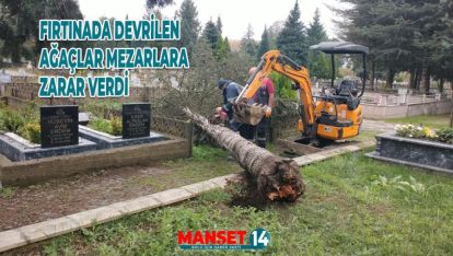 FIRTINADA DEVRİLEN AĞAÇLAR MEZARLARA ZARAR VERDİ