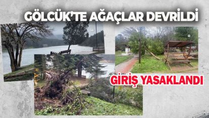 GÖLCÜK'TE AĞAÇLAR DEVRİLDİ, GİRİŞ YASAKLANDI