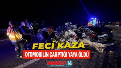 OTOMOBİLİN ÇARPTIĞI YAYA ÖLDÜ