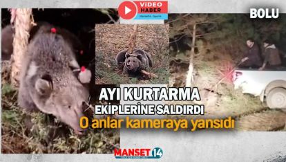 TELE TAKILAN AYI KURTARMA EKİPLERİNE SALDIRDI