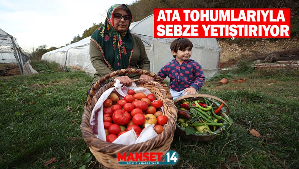 BABAANNESİNDEN ALDIĞI ATA TOHUMLARIYLA SEBZE YETİŞTİRİYOR