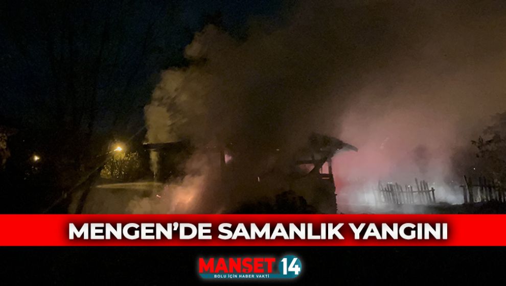 MENGEN'DE ÇIKAN YANGINDAN SAMANLIK KULLANILAMAZ HALE GELDİ