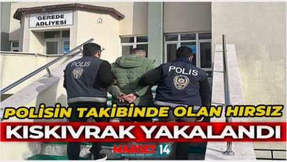 POLİSİN TAKİBİNDE OLAN HIRSIZ KISKIVRAK YAKALANDI