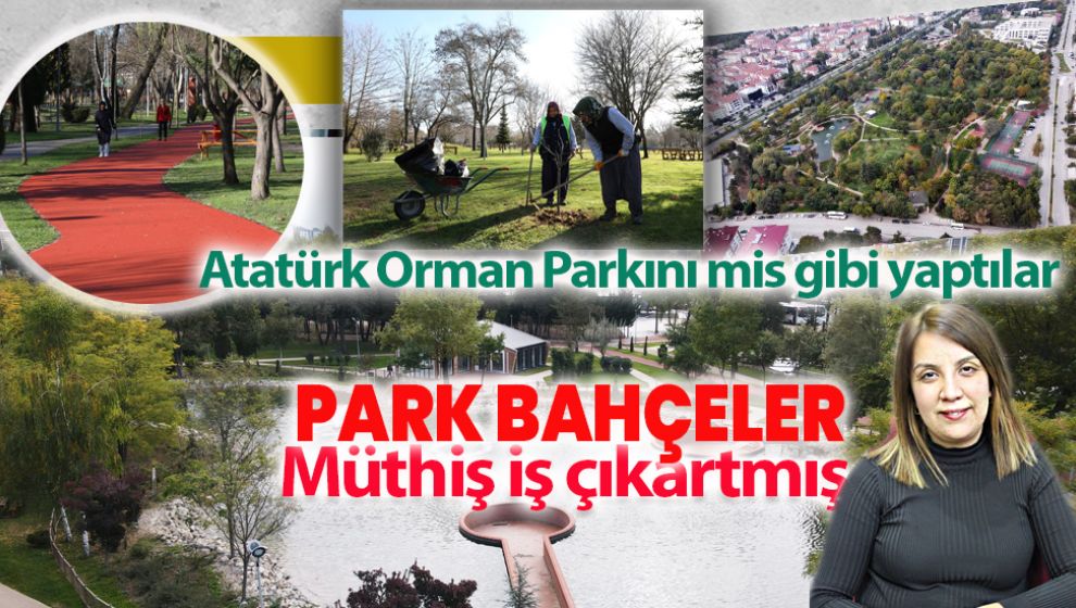 ATATÜRK ORMAN PARKI BAŞTAN AŞAĞI YENİLENDİ