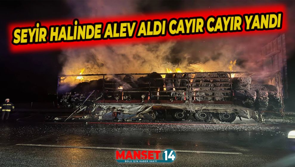 OTOYOLDA KORKUTAN YANGIN PAMUK YÜKLÜ TIR ALEV ALEV YANDI