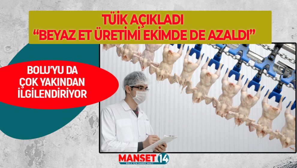 TÜİK AÇIKLADI: BEYAZ ET ÜRETİMİ EKİMDE DE AZALDI