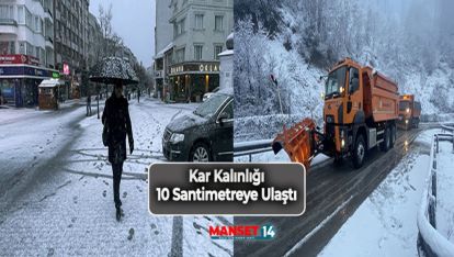 BOLU'DA KAR YAĞIŞI ETKİLİ OLDU