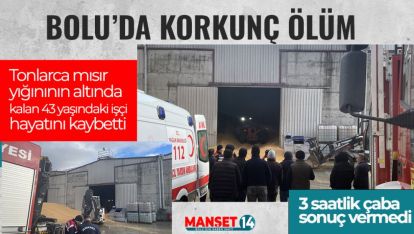 BOLU'DA KORKUNÇ ÖLÜM: TONLARCA MISIR YIĞINININ ALTINDA KALDI