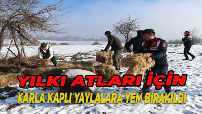 BOLU'DA YILKI ATLARI İÇİN KARLA KAPLI YAYLALARA YEM BIRAKILDI