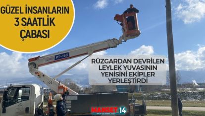 RÜZGARDAN DEVRİLEN LEYLEK YUVASININ YENİSİNİ YERLEŞTİRDİLER