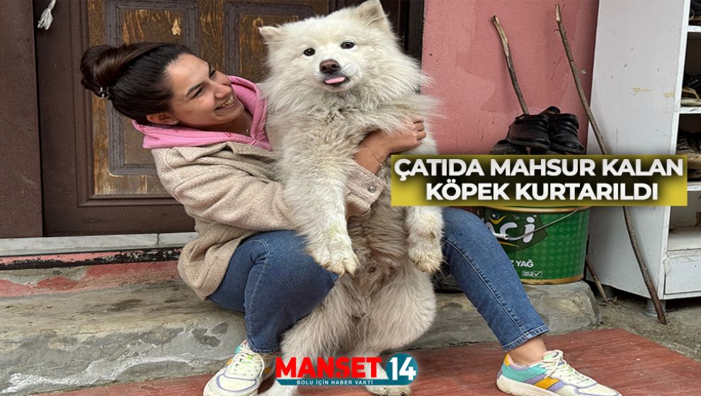 ÇATIDA MAHSUR KALAN KÖPEK KURTARILDI