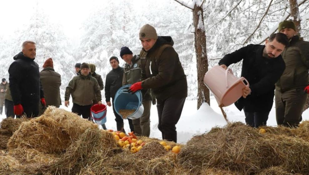 Düzce'de yaban hayvanları için doğaya yem bırakıldı