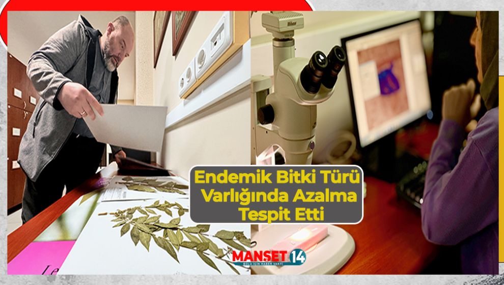 SULAK ALANDAKİ ENDEMİK BİTKİLER İKLİM DEĞİŞİKLİĞİ VE DIŞ ETKENLER NEDENİYLE 