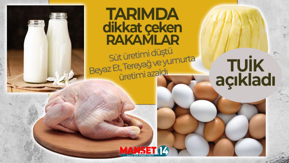 TARIMDA ÜRETİM AZALDI. DİKKAT ÇEKEN RAKAMLAR