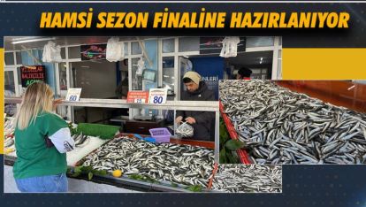 HAMSİ YAVAŞ YAVAŞ SEZON FİNALİNE HAZILANIYOR