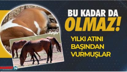 SON DAKİKA.. CANİLER BAŞINDAN VURMUŞLAR