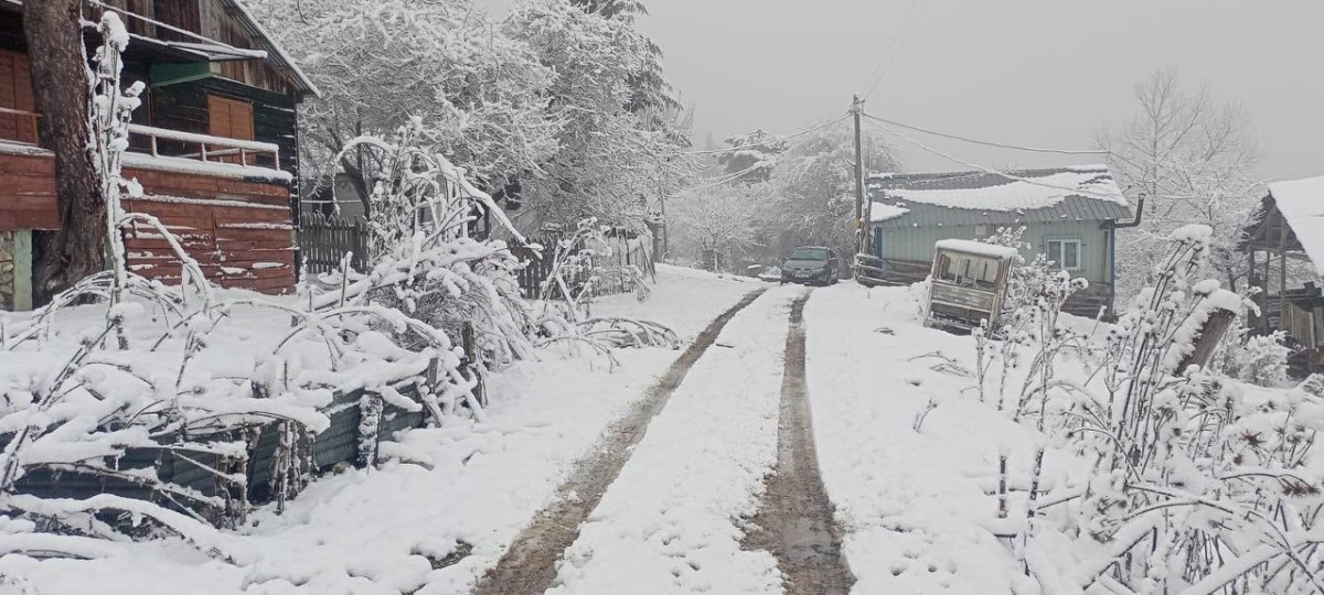 ÇOK ŞÜKÜR BEREKET YENİDEN GELDİ