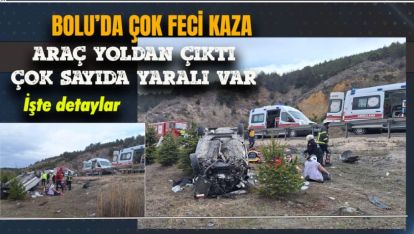 ARAÇ YOLDAN ÇIKTI ÇOK SAYIDA YARALI VAR!