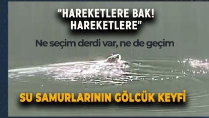 BOLULU SU SAMURLARI GÖLCÜK'TE GÜZEL HAVANIN TADINI ÇIKARDI